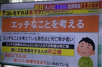 ラビット速報