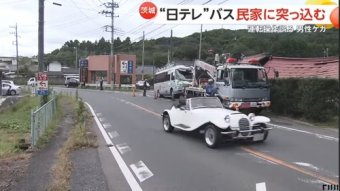 わんこーる速報！