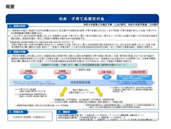 流速VIP