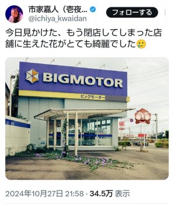 わんこーる速報！