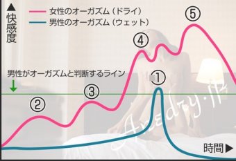 ラビット速報