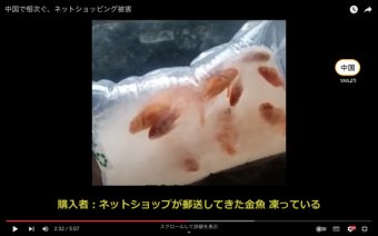 【2ch】ニュー速クオリティ