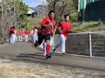 ラビット速報