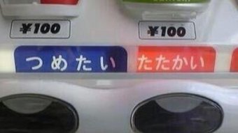 ラビット速報