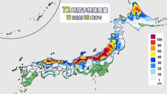 ラビット速報